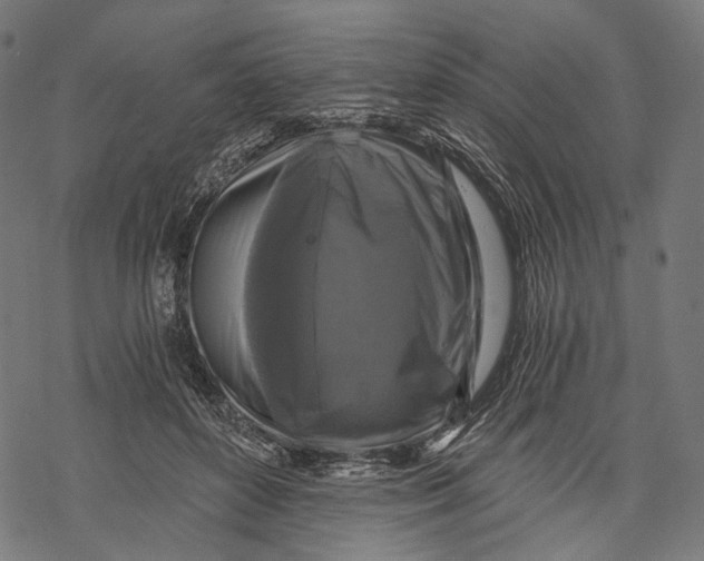 X0000068810504200605261529