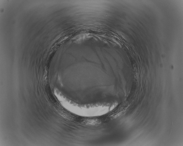X0000068810507200605261529