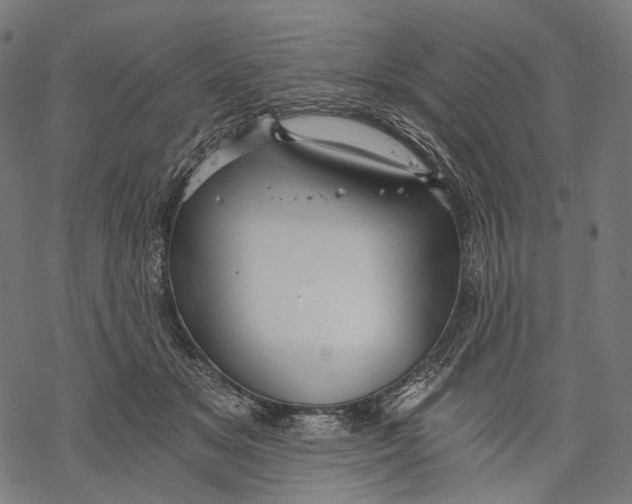 X0000068810509200605261529