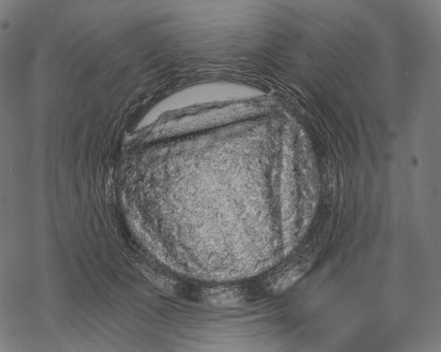X0000068810511200605261529
