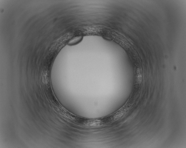 X0000068810514200605261529