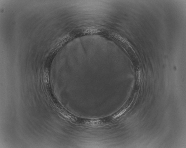 X0000068810517200605261529