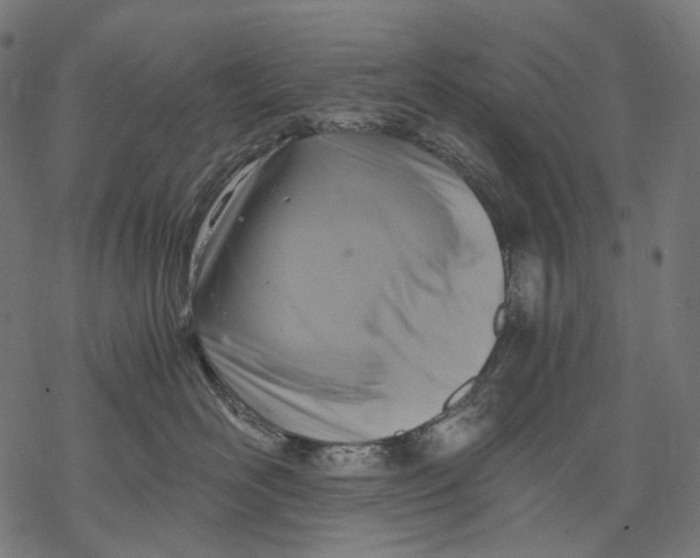 X0000068810526200605261529