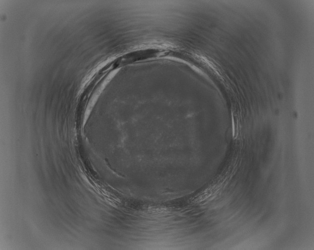 X0000068810531200605261528