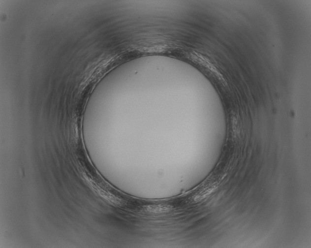 X0000068810541200605261528