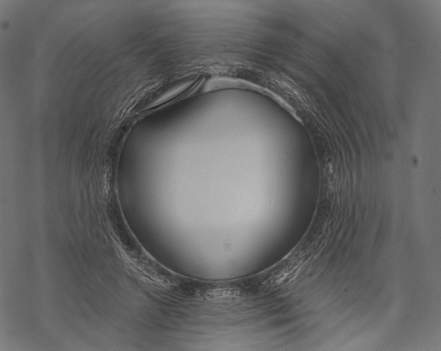 X0000068810546200605261528