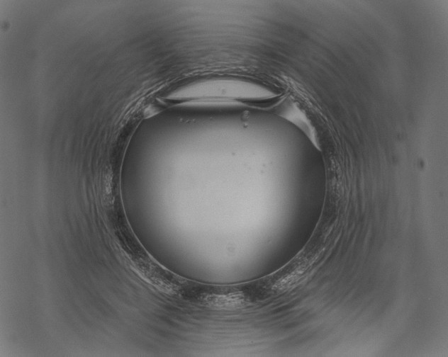 X0000068810548200605261528