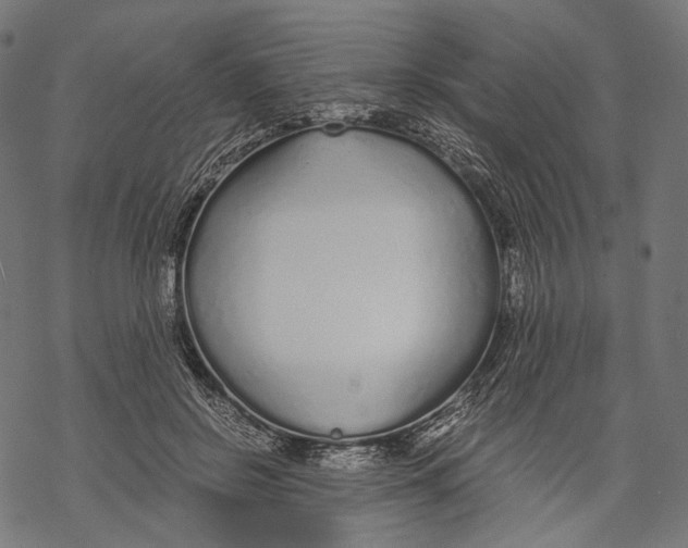 X0000068810550200605261528