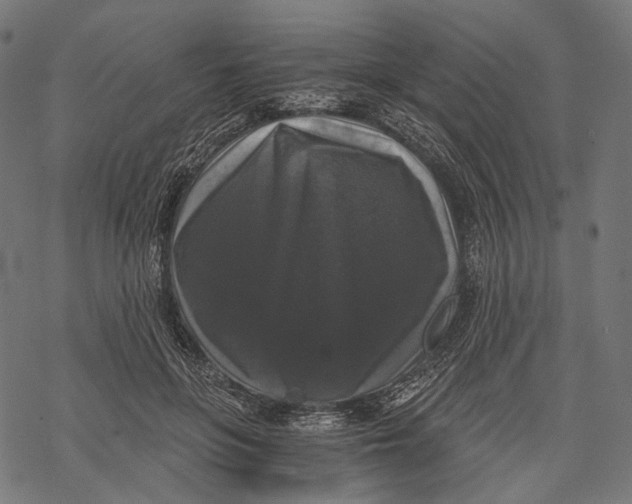 X0000068810551200605261528