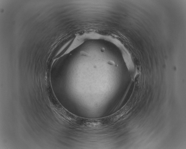 X0000068810552200605261528