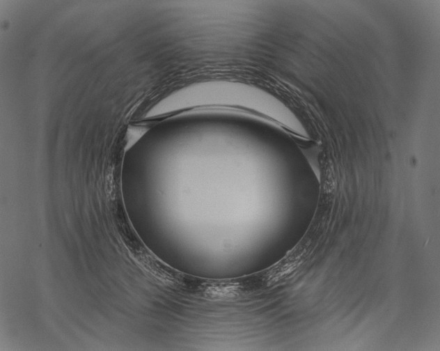 X0000068810560200605261528
