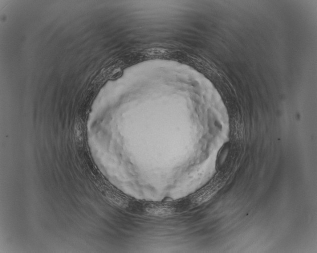 X0000068810561200605261528
