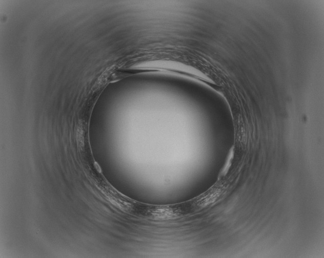 X0000068810562200605261528