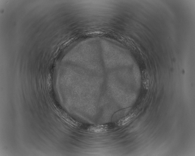 X0000068810563200605261528