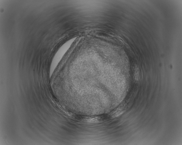 X0000068810569200605261528