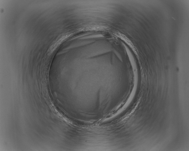 X0000068810577200605261528