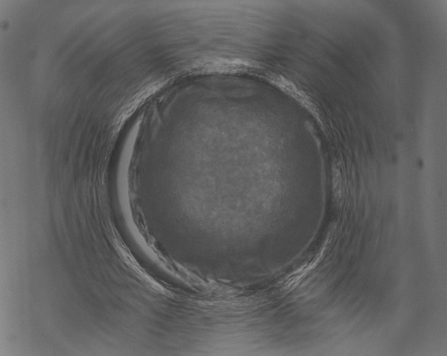 X0000068810581200605261528