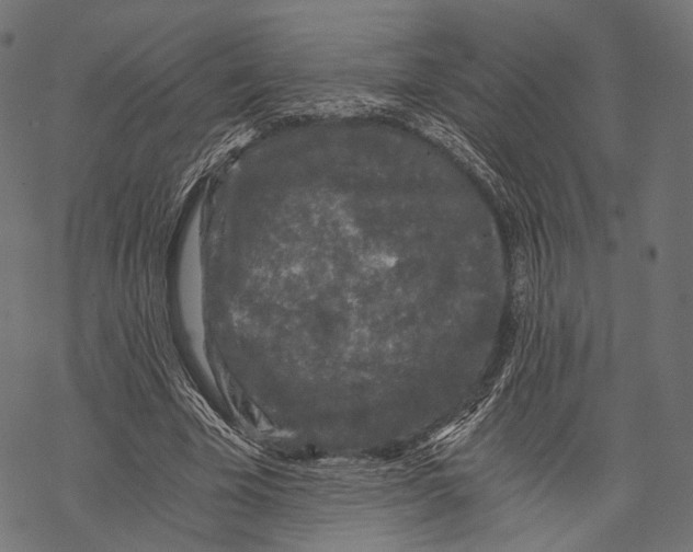 X0000068810585200605261528