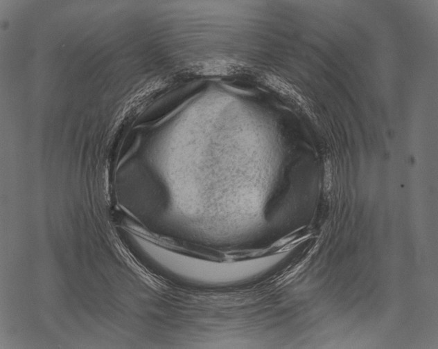 X0000068810589200605261528
