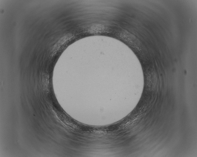 X0000068810592200605261528