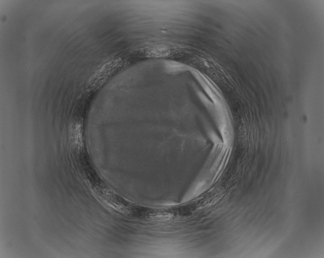 X0000068810598200605261527