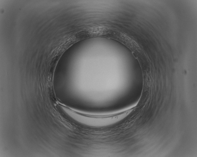 X0000068810601200605261527