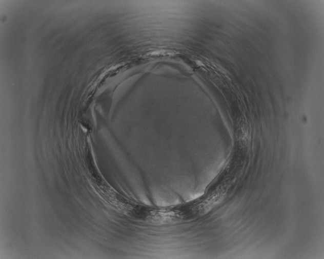 X0000068810607200605261527