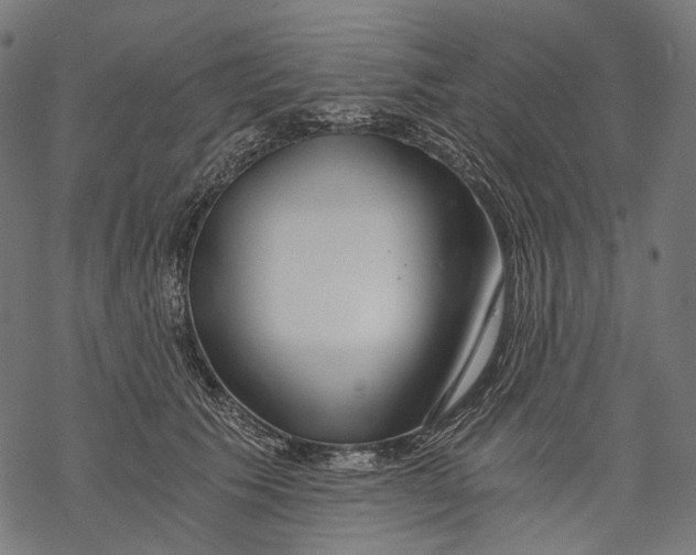X0000068810609200605261527