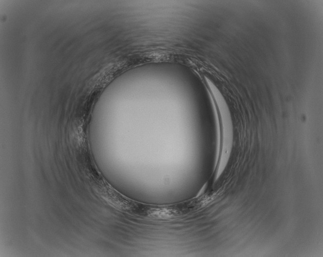 X0000068810611200605261527