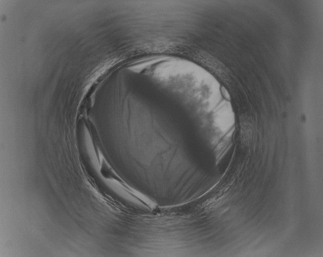 X0000068810626200605261526