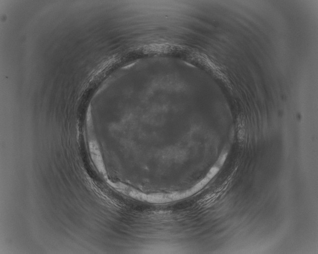 X0000068810637200605261526