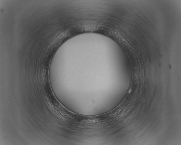 X0000068810639200605261526