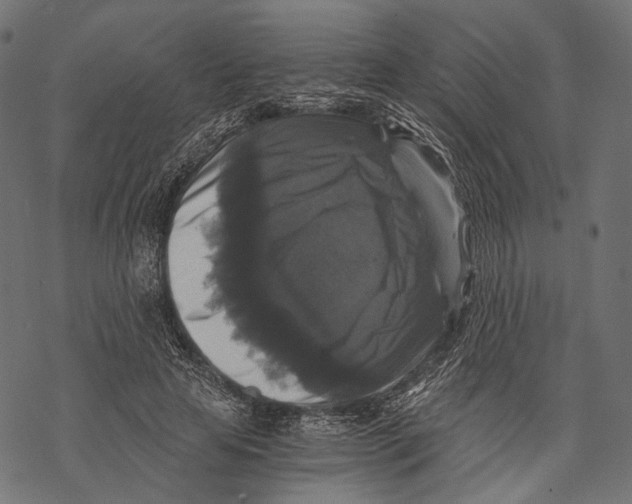 X0000068810641200605261526