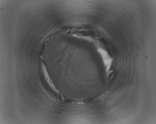 X0000068810644200605261527
