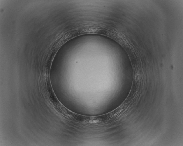 X0000068810647200605261527