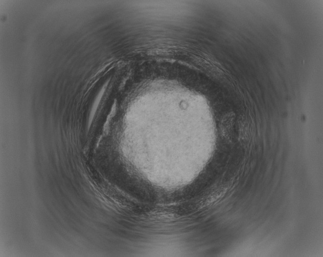 X0000068810648200605261527