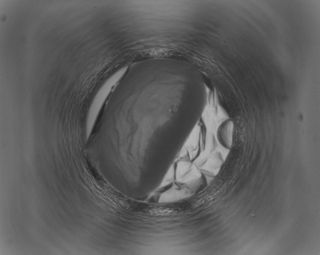 X0000068810650200605261527