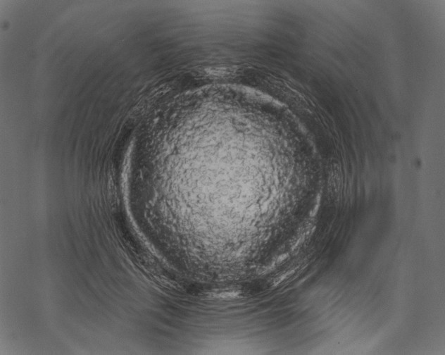 X0000068810651200605261527