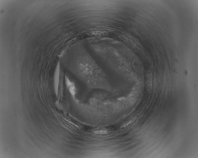 X0000068810653200605261527