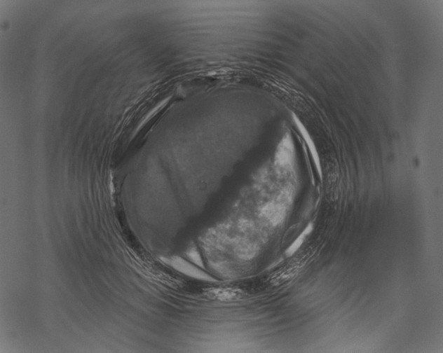X0000068810654200605261527