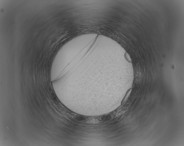 X0000068810656200605261527