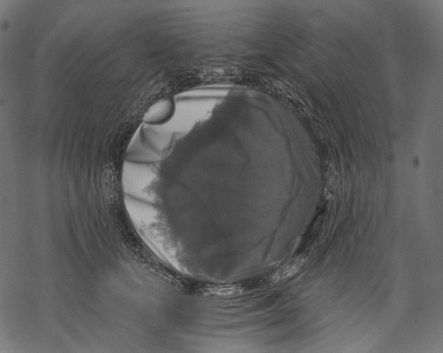 X0000068810659200605261527