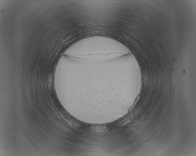 X0000068810660200605261527