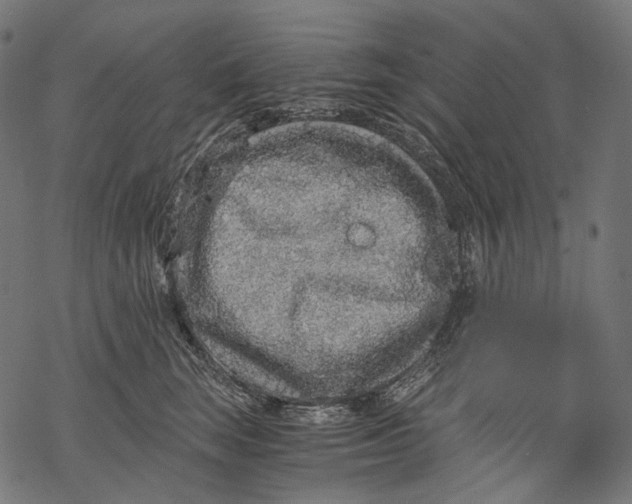 X0000068810663200605261527