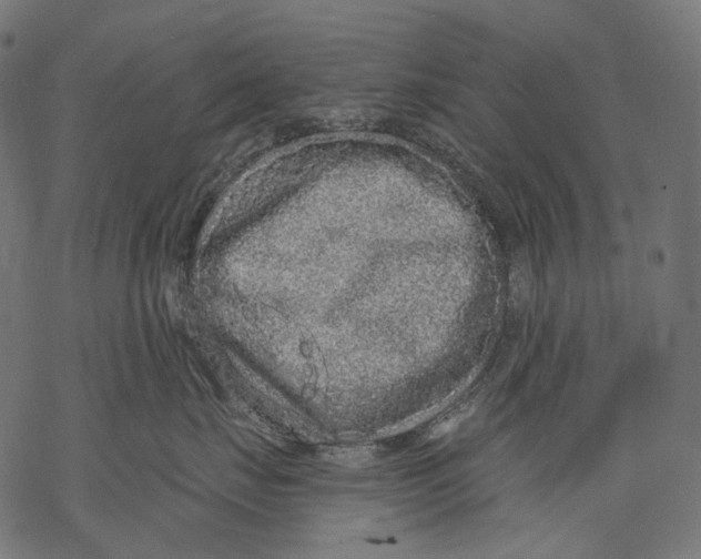 X0000068810671200605261527