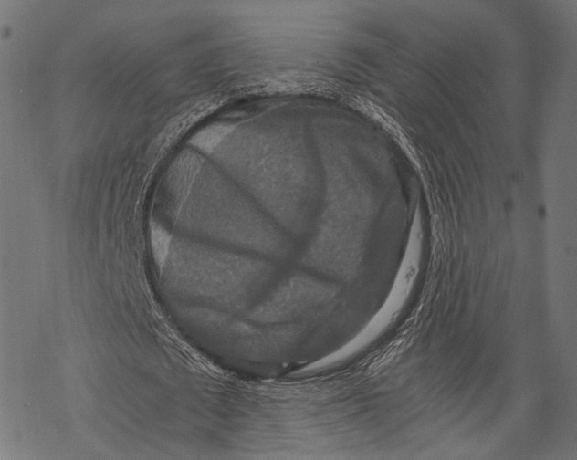 X0000068810673200605261526