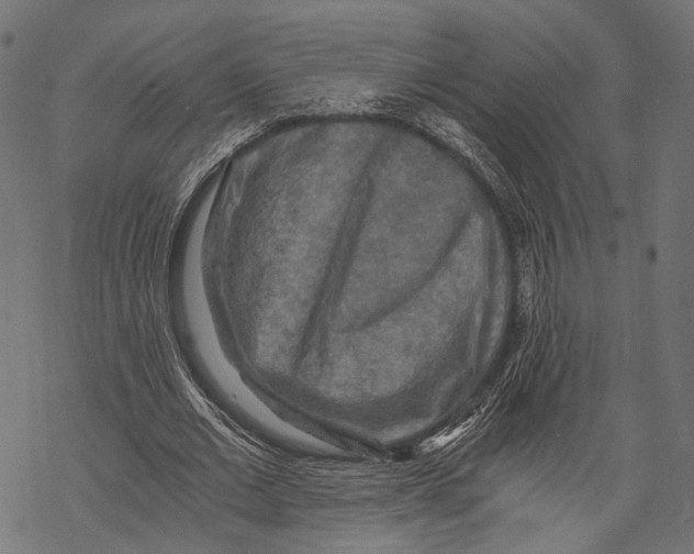 X0000068810677200605261526