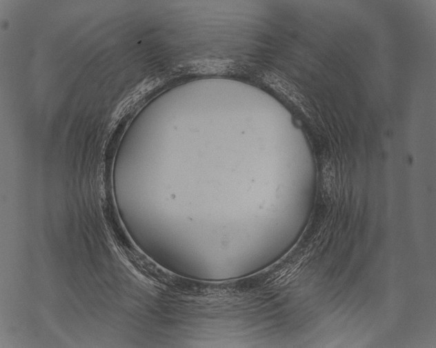 X0000068810682200605261526