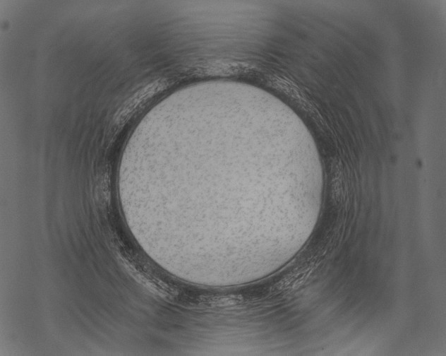 X0000068810683200605261526