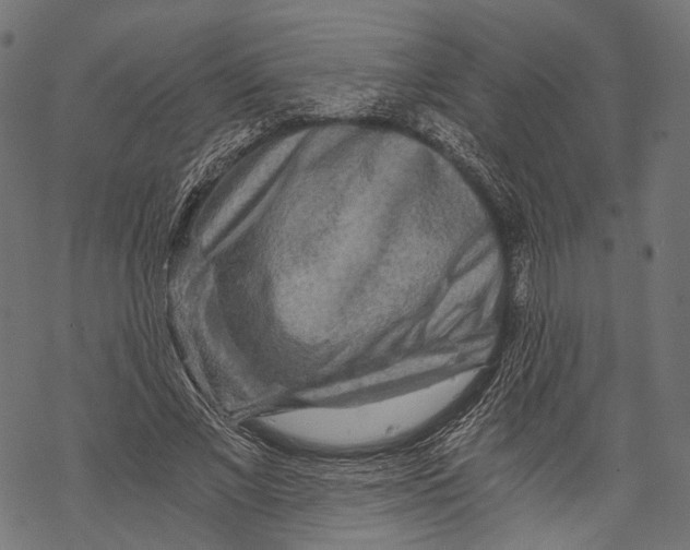 X0000068810685200605261526